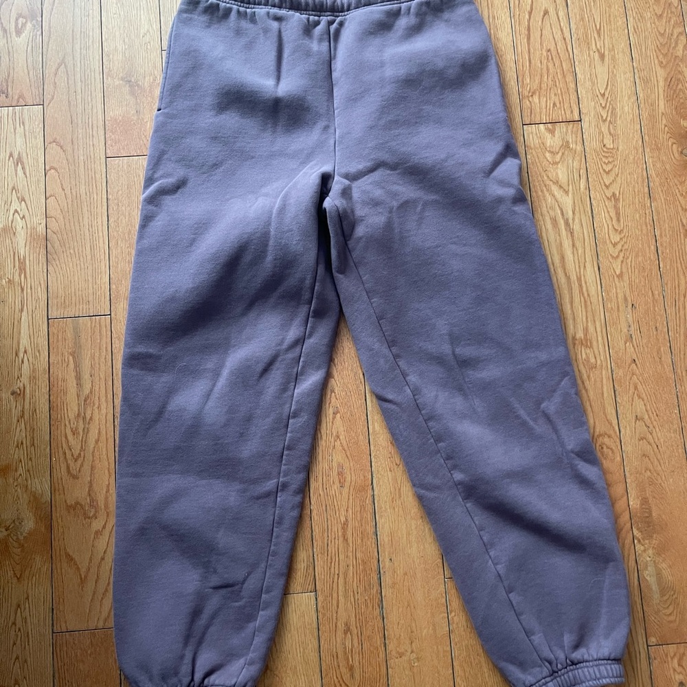 Aritzia Purple Track Pants